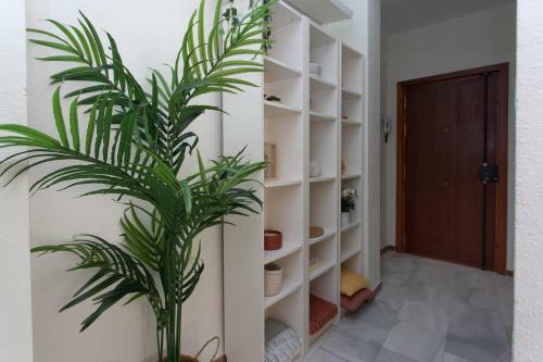 Apartamento Cristo de Burgos 15