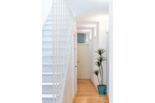 Magno Apartments San Luis Luxury House