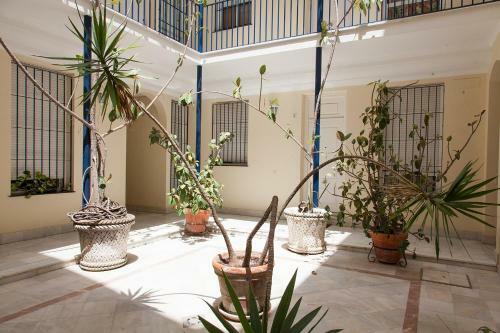 Apartamento Gotoseville Siete Revueltas