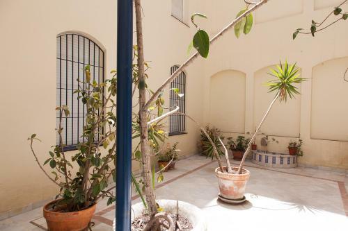 Apartamento Gotoseville Siete Revueltas