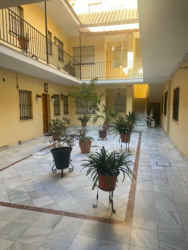 Apartamento Sd Gerona Centro Santa Catalina