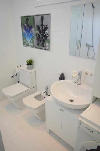 Apartamento �tico de Arte Ba�ado En Sol