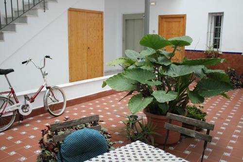 Apartamento Downtown Plaza Del Museo