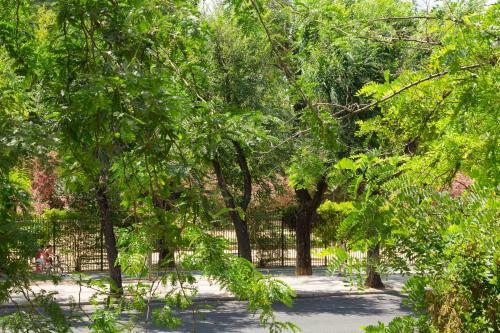 Apartamento Veoapartment Jardines Murillo