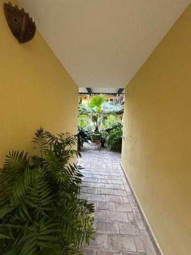 Apartamento Calle Infantes Centro de Sevilla