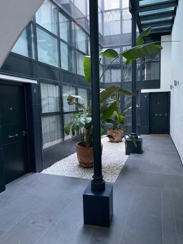 Apartamento Moderno Duplex Sevillano