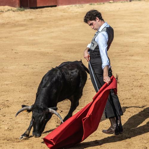 Hotel Rural Ganader�a Virgen Mar�a