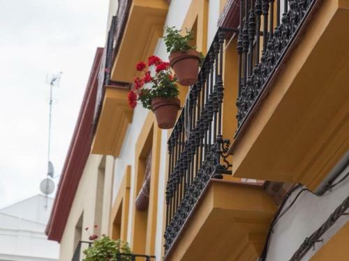 Bonito Apartamento de Dise�o 1 Bed Arenal
