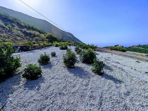 Sea La Vie Apartment - Adults Only