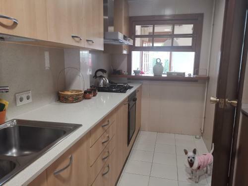 Hostel Aloha A 3 Calles Del Mar