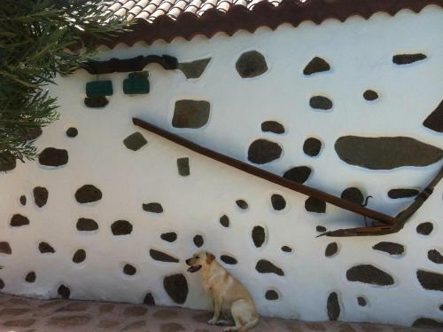La Casa Vieja de La Monta�a