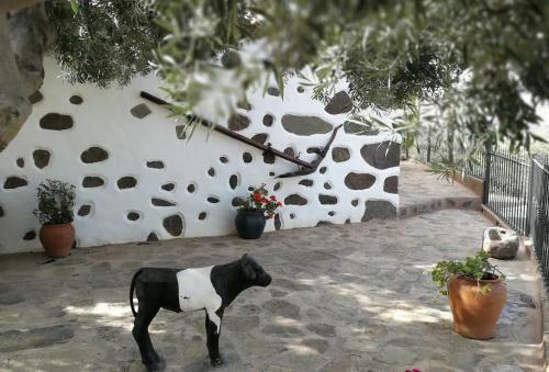 La Casa Vieja de La Monta�a