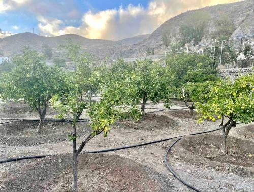 Casa Rural La Limera Con Piscina Privada