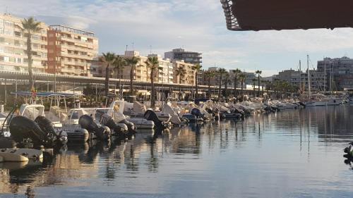 Apartamento Pepi Puerto (Adults Only)