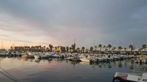 Apartamento Pepi Puerto (Adults Only)