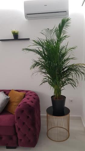 Apartamento Pepi Puerto (Adults Only)