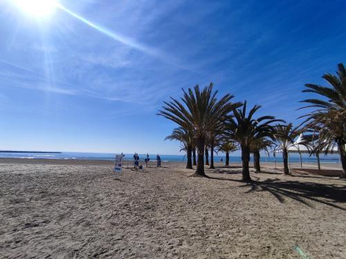 Apartamento C�modo A 300 Metros De La Playa