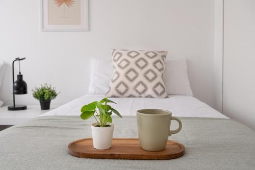 Tetuan Street Apartment
