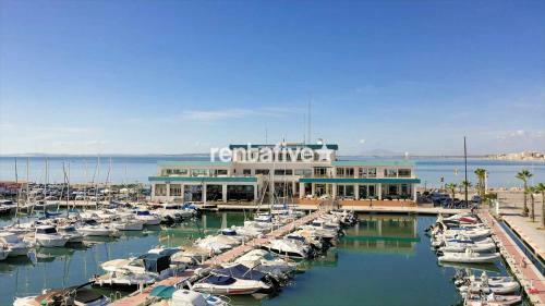 Rentafive Apartamento Acuario Piscina AA