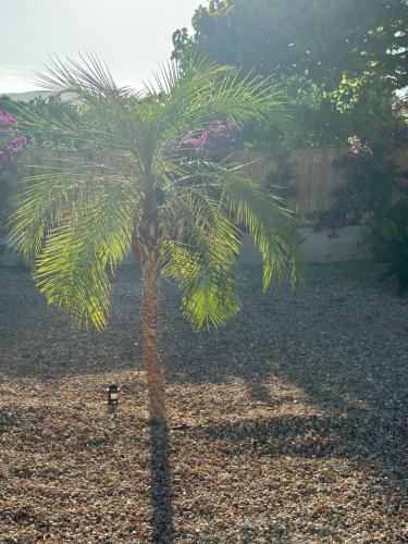 Villa Your Perfect Hideaway Only 5 Minutes From Ibiza