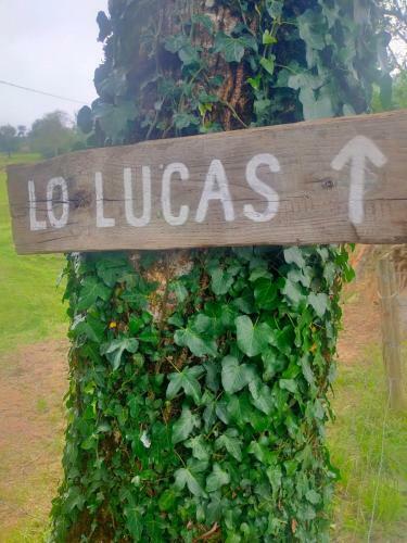Caba�a Pasiega Lo Lucas 1920
