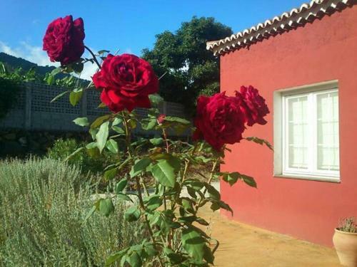 Casa Isa, Ideal Para Descansar.