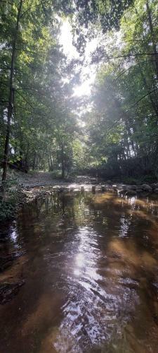 La F�brica De Targarona