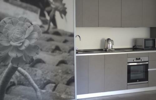 Apartamento New Central Loft- El Verodal de Sabino