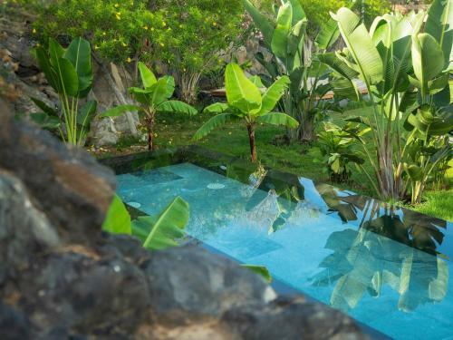 Bungalow Frente Al Mar Golf Piscina