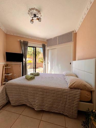Apartamento Hermoso Estudio Parque Albatros