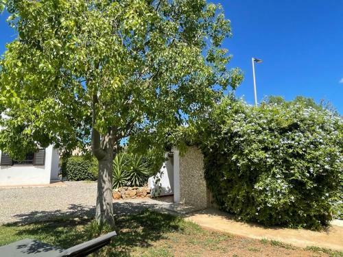 Casa Mamita Ibiza