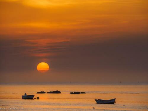 Apartamentos Larios Centro