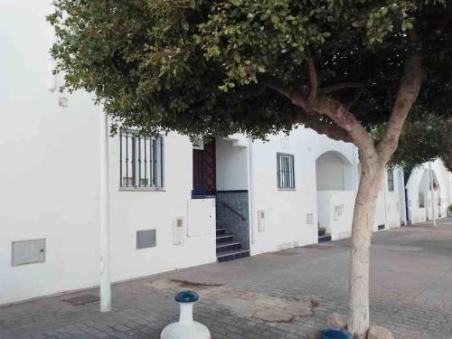 Apartamento El Playaiso de San Jos�
