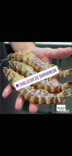 Apartamento Piso de Dos Dormitorios En El Centro de Sanl�car de Barrameda