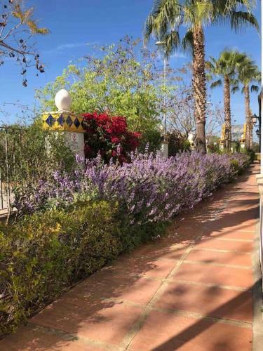 Apartamento Sanl�car Playa de Las Piletas