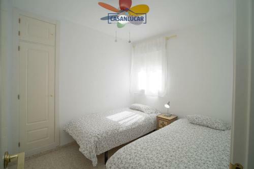Apartamento Cig�e�a