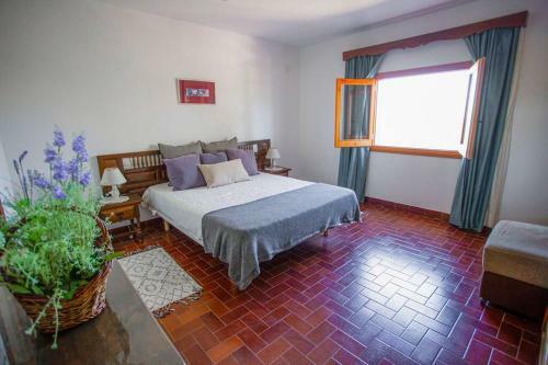 Casa De Campo Cala Bassa