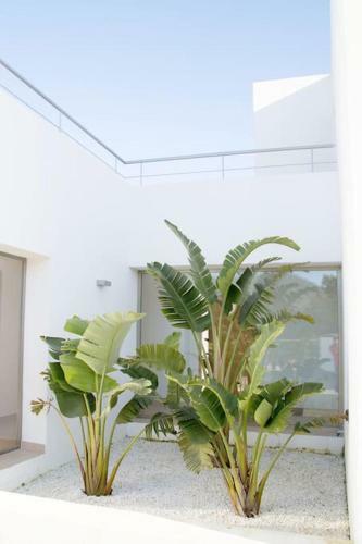 Modern Villa In Cala Jondal Porroig