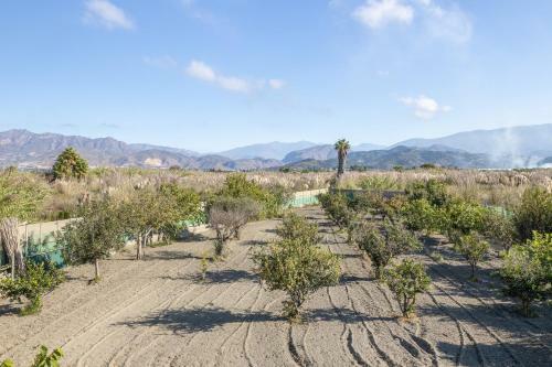 Cortijo Vega de Salobre�a