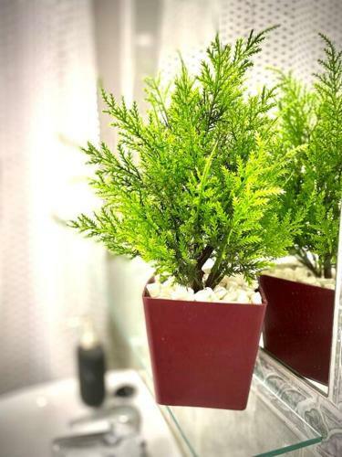 Mychoice Carmen By Bossh! Apartments