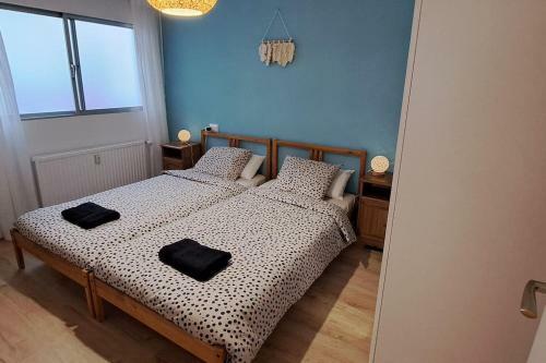 Apartamento Piso Acogedor En Los Pirineos