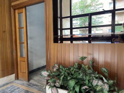 Apartamento �tico Blue Charme Santo Tom�s