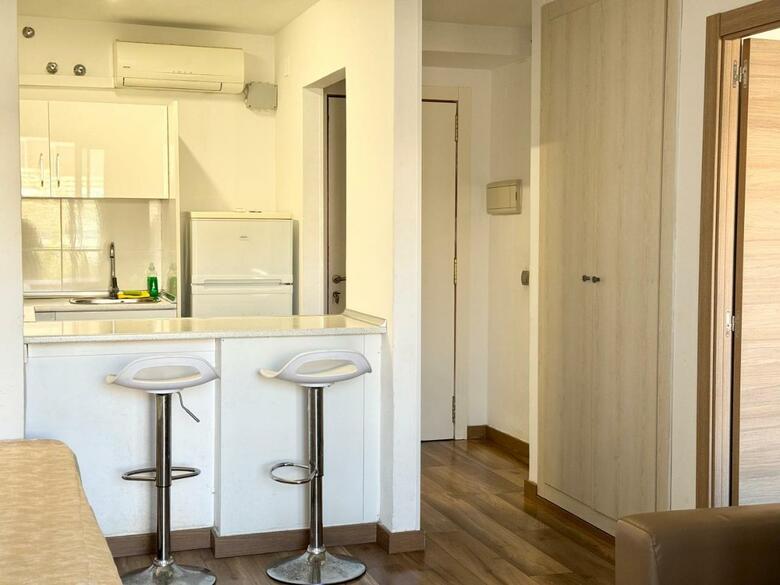 Apartsalou Michelangelo