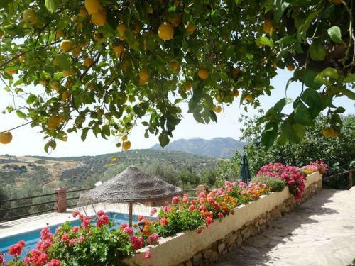 Villa La Molina Del Olivar - Peaceful Location