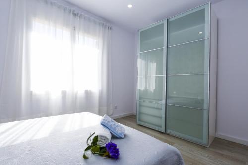 Apartamento New Queens 1a Planetcostadorada