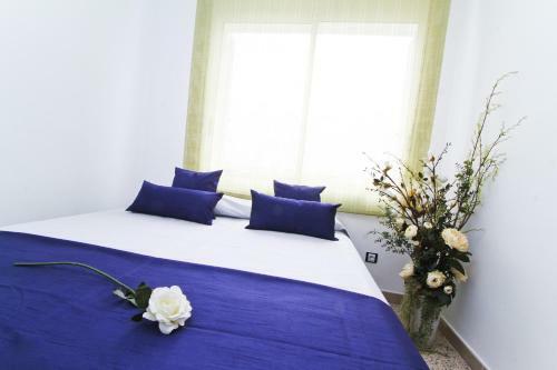 Apartamento New Oksana Planetcostadorada