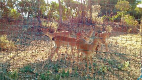 Agroturismo I Mandorli