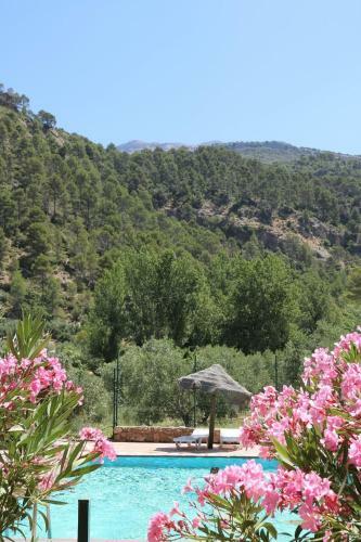 Apartamento Casas Rurales Cortijo El Marqu�s