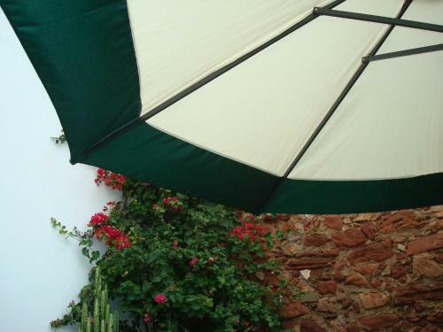 Apartamento Casa Claudia - Pool And Wifi