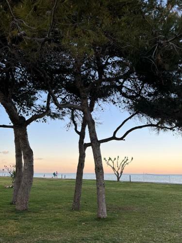 Apartamento Jardines Del Mar Marina D,or Oropesa